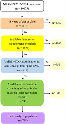 The relationship between serum monoterpene levels and bone health: a retrospective cross-sectional analysis from the National Health and Nutrition Examination Survey (NHANES) data